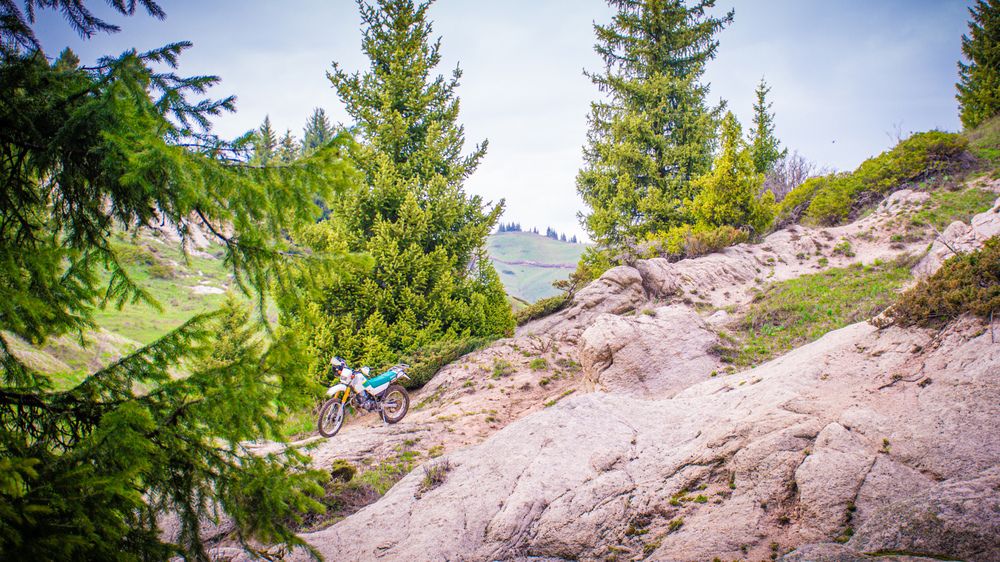 Фотография автора X Fedeeng