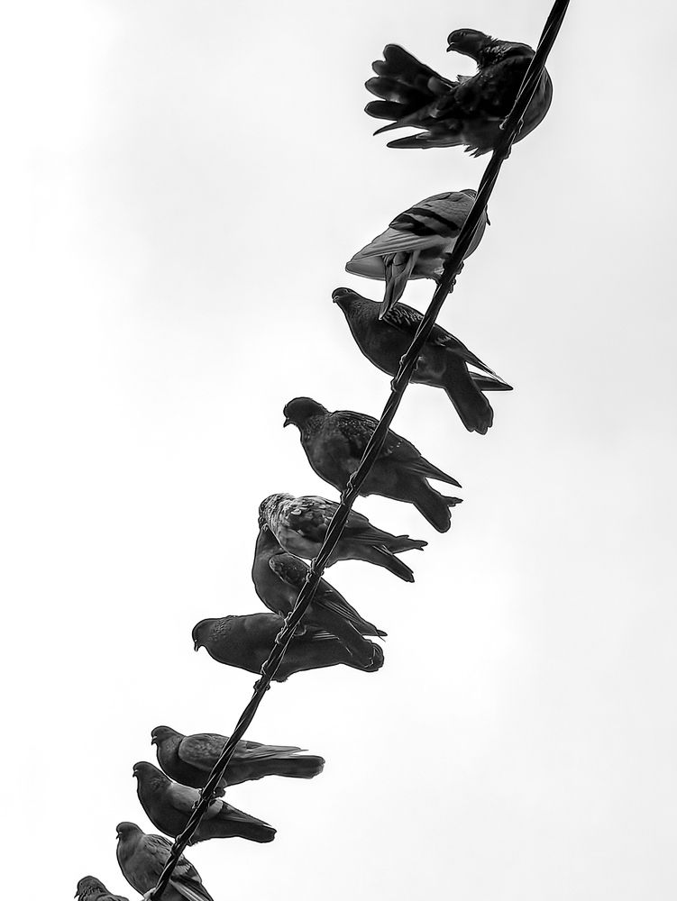 Photograph by Евгений Симион