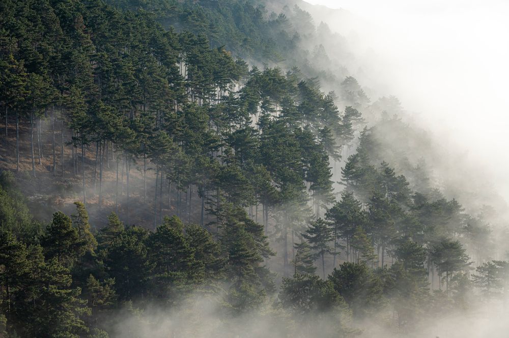 Photograph by levi bagy