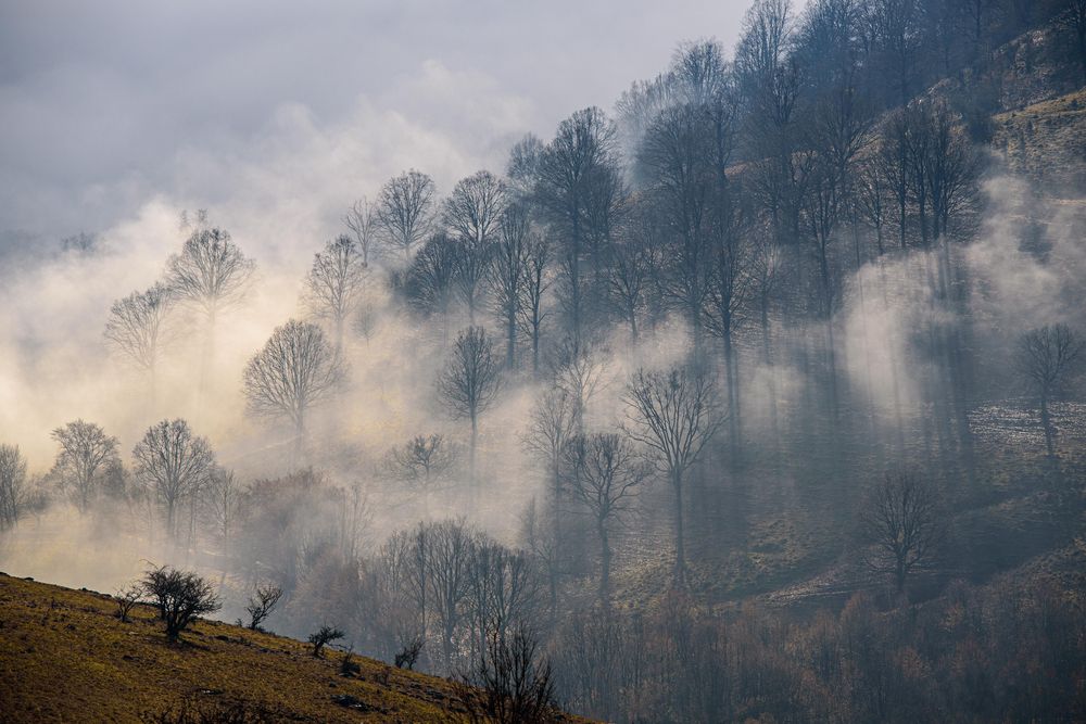 Photograph by levi bagy