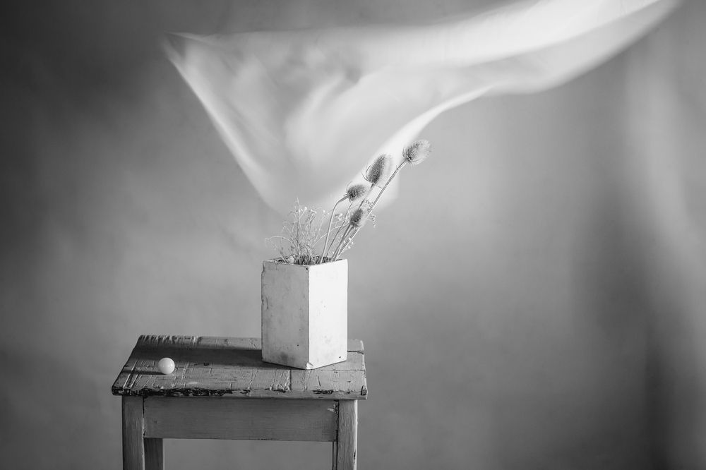 Фотография автора Refat Mamutov