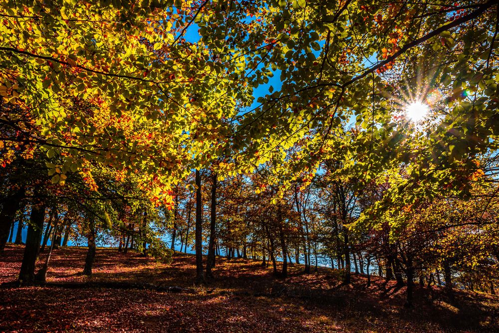 Photograph by levi bagy