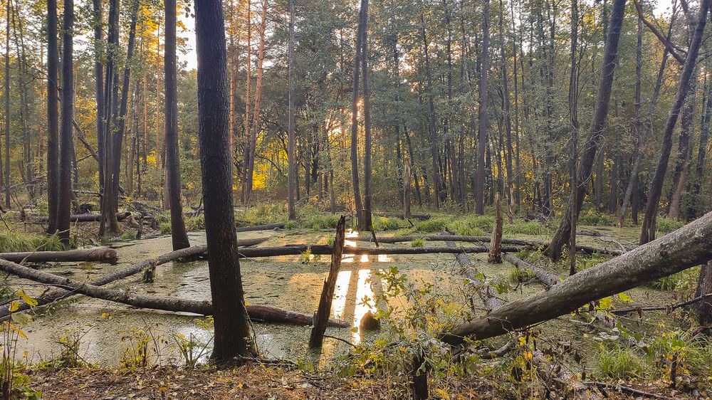 Photograph by Влад Сорокин