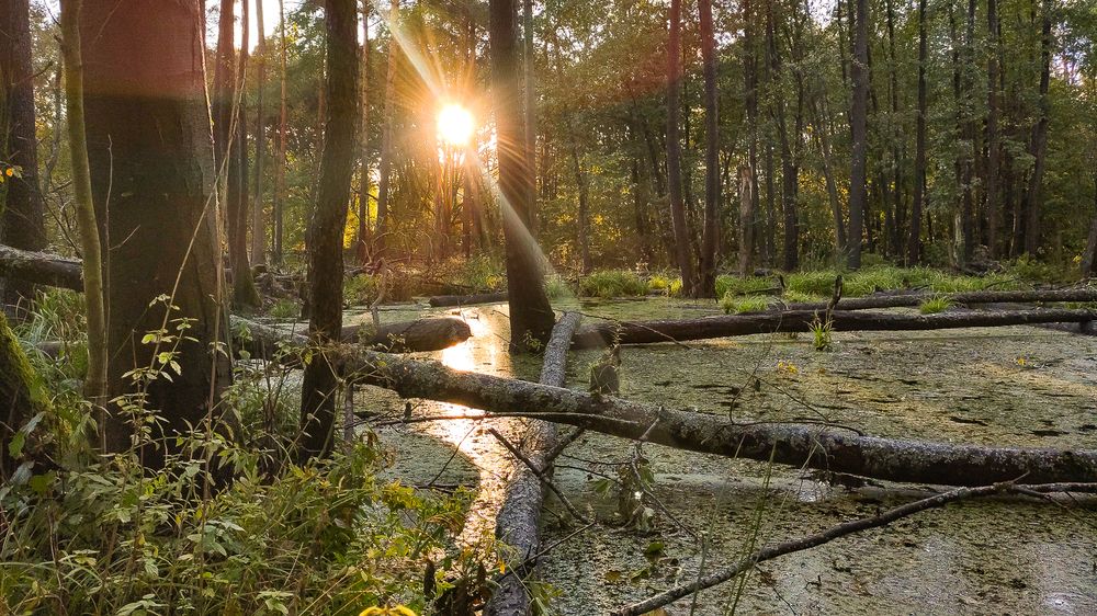 Photograph by Влад Сорокин