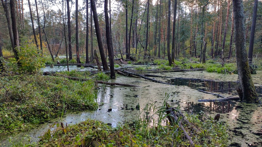Photograph by Влад Сорокин