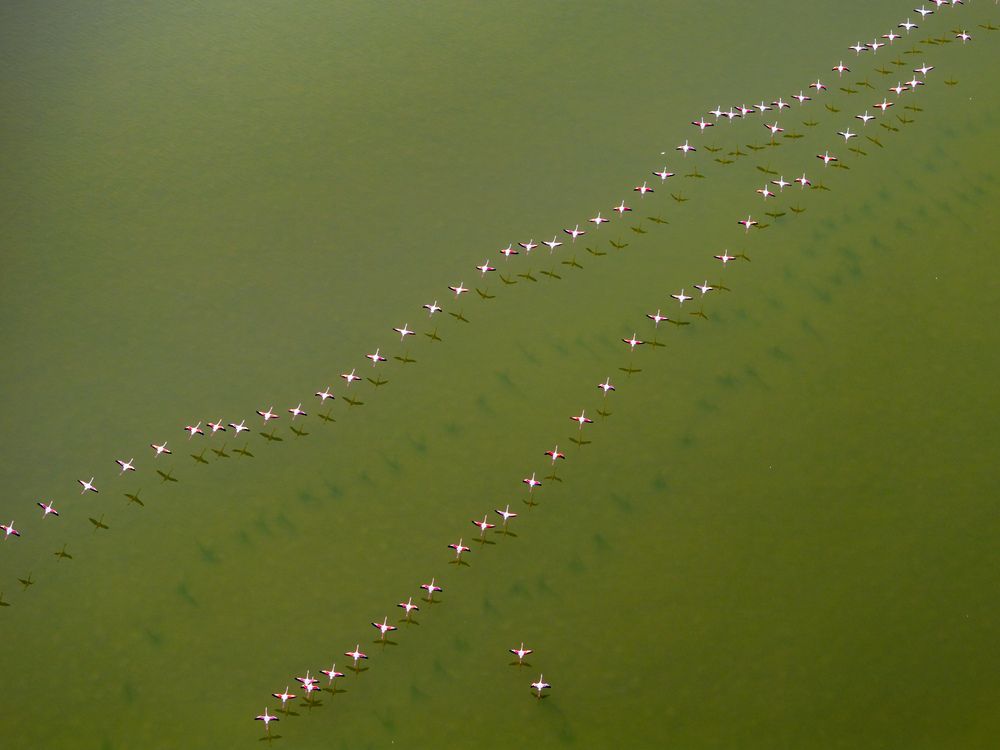 Photograph by mehdi mohebi pour