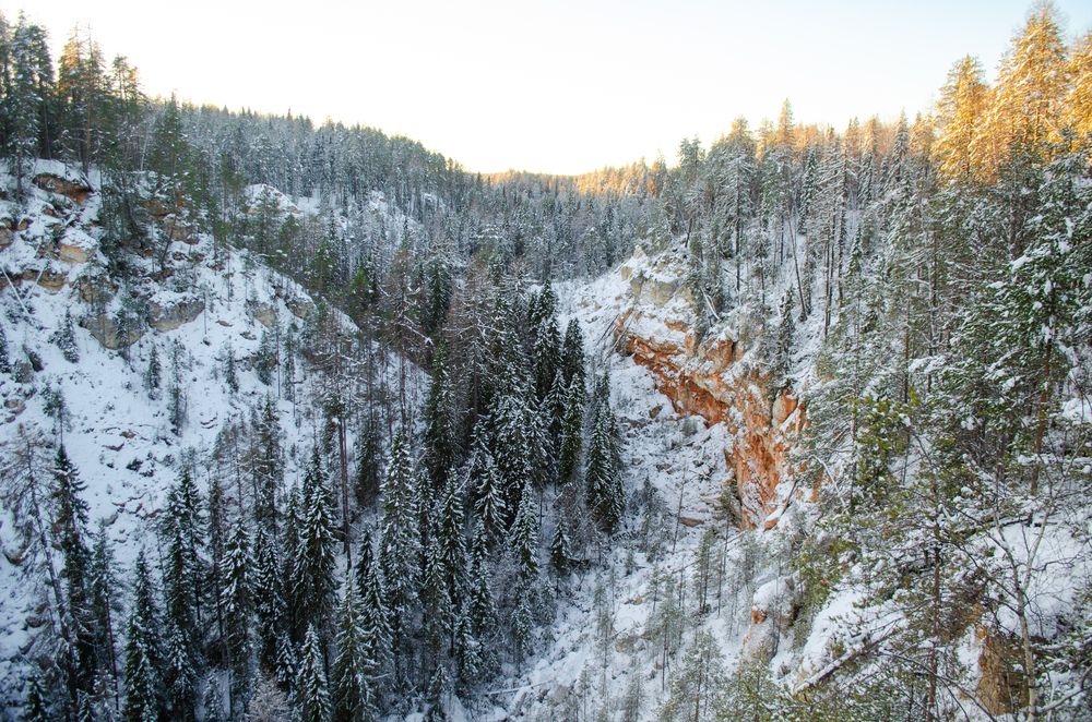 Photograph by Валентина Ивашова