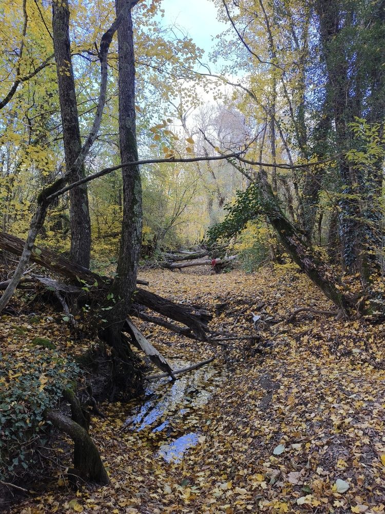 Photograph by Natalya Vasilenko