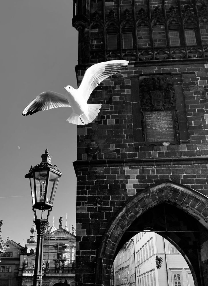 Photograph by Ksenia Sandlerski