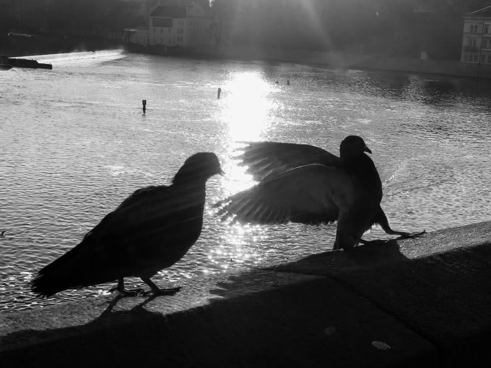 Photograph by Ksenia Sandlerski