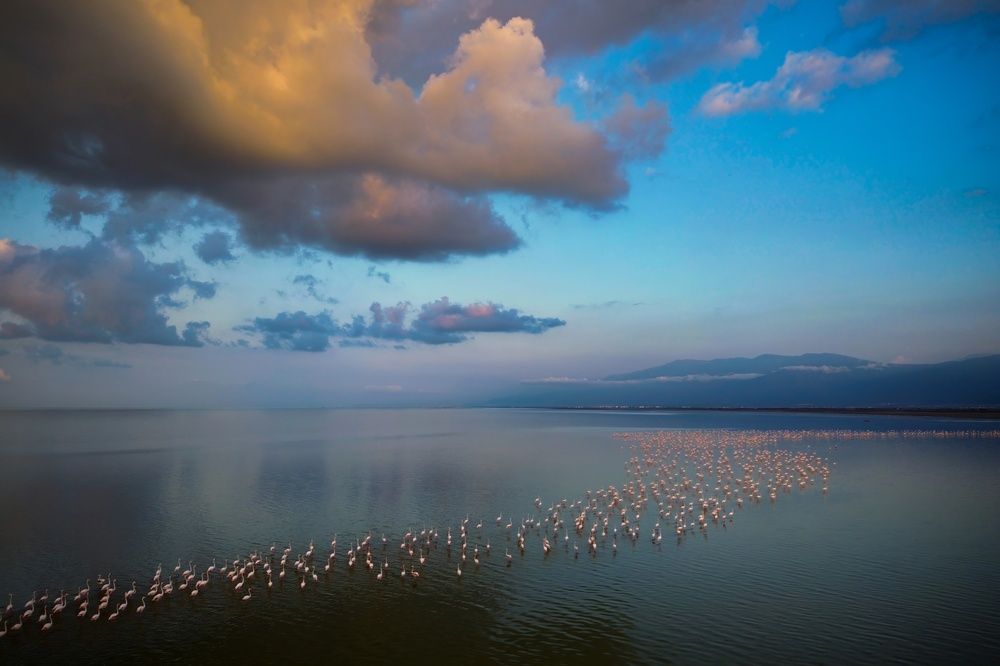 Photograph by mehdi mohebi pour