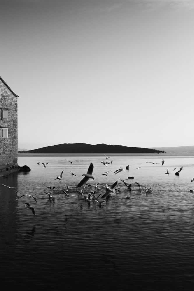 Photograph by Angela