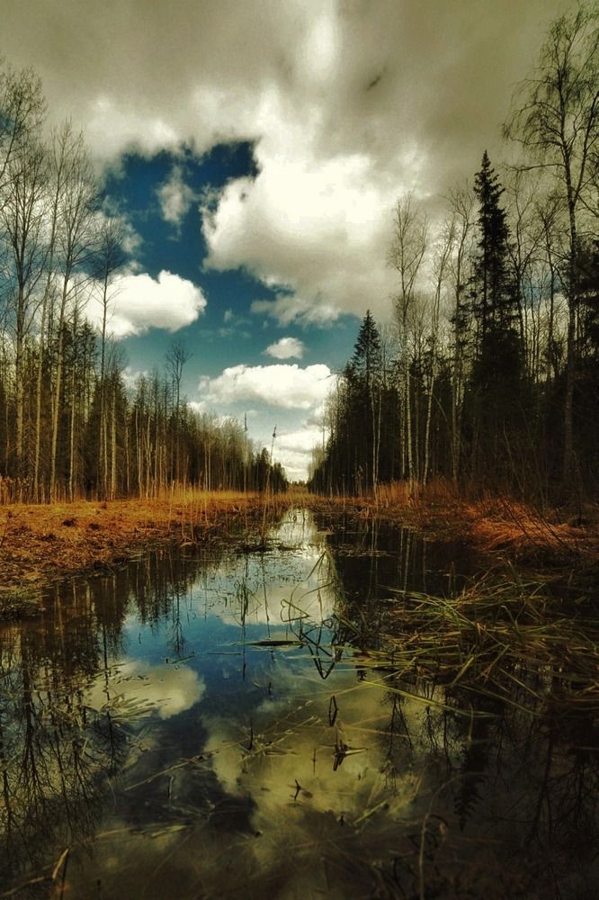 Photograph by Vladimir Freedom