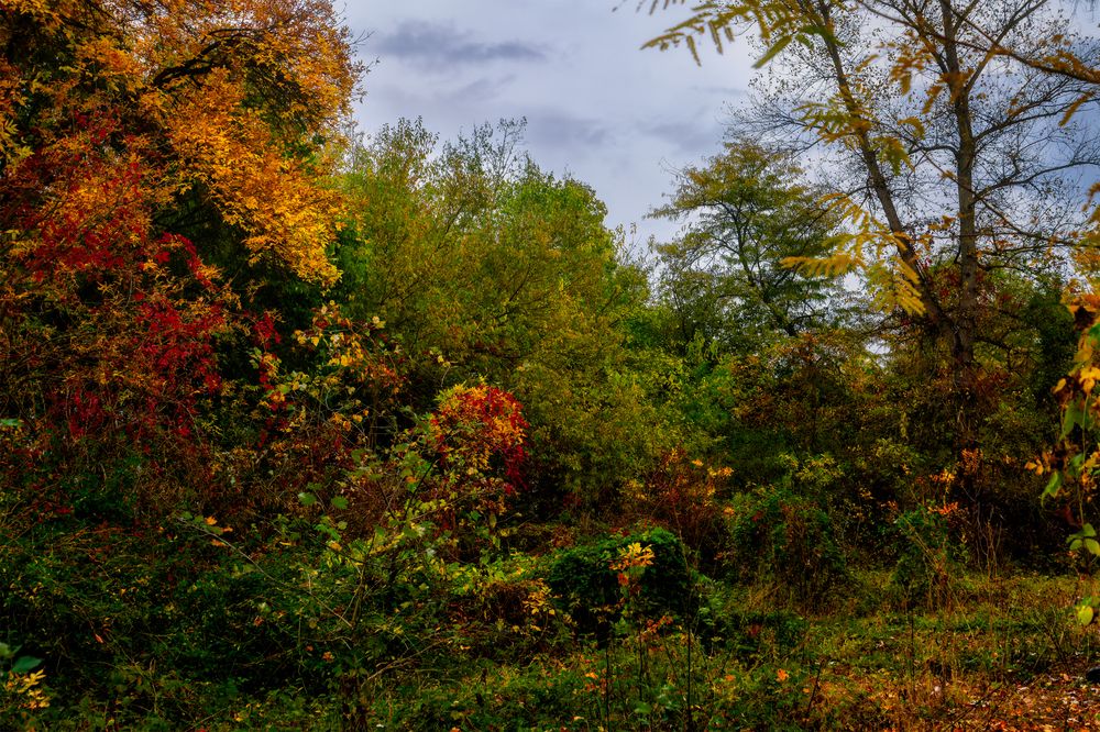 Photograph by Владимир Кваша