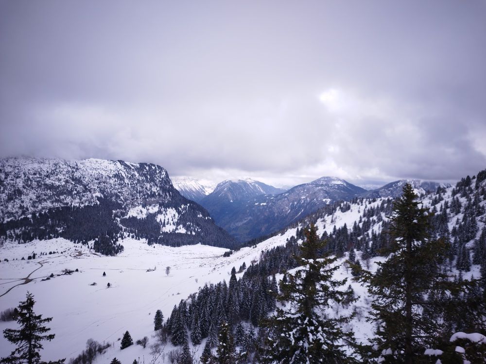 Фотография автора Clarise Joy Evangelista