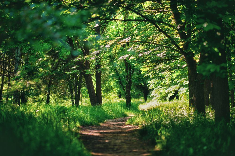 Photograph by Оксана Пономаренко