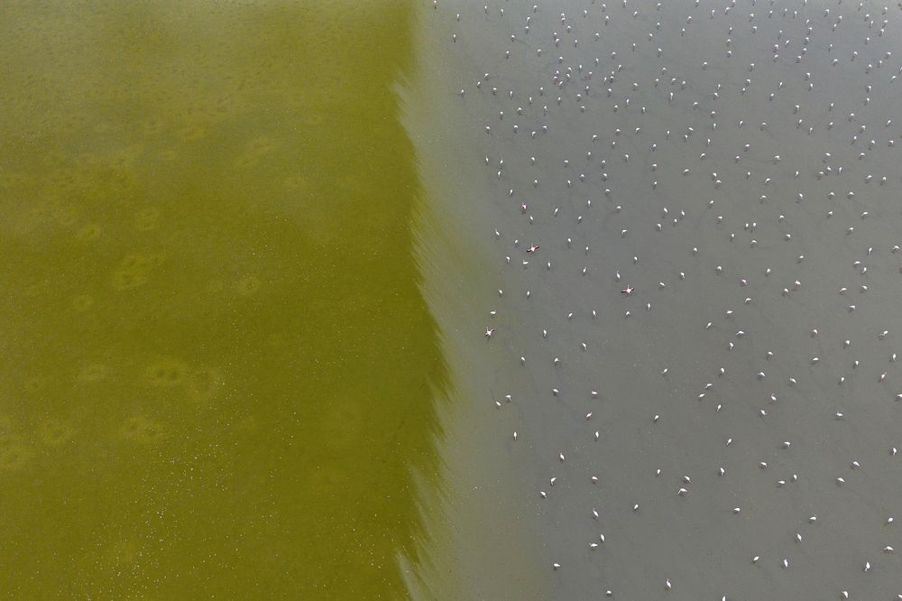 Photograph by mehdi mohebi pour