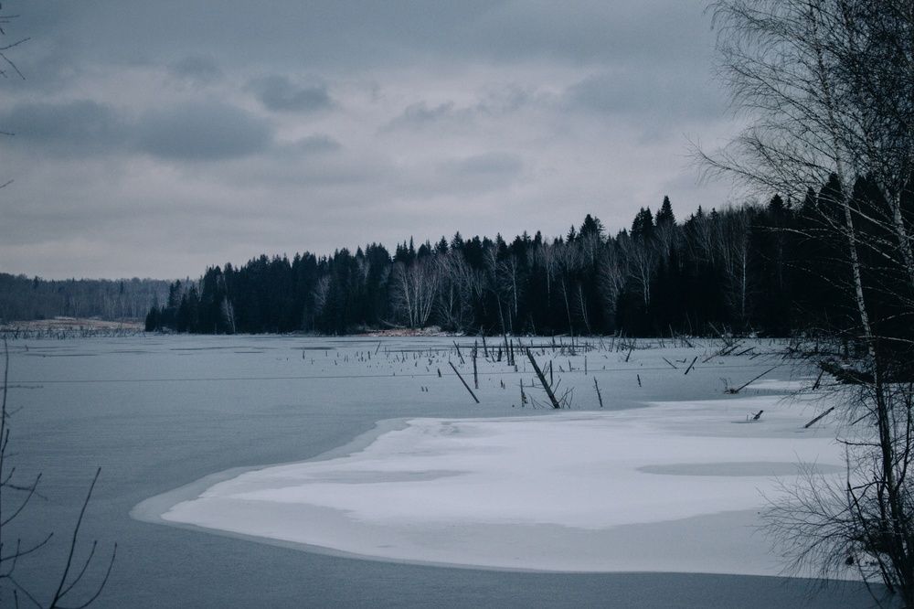 Photograph by Anastasia Anikina