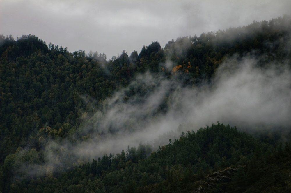 Photograph by Anastasia Anikina