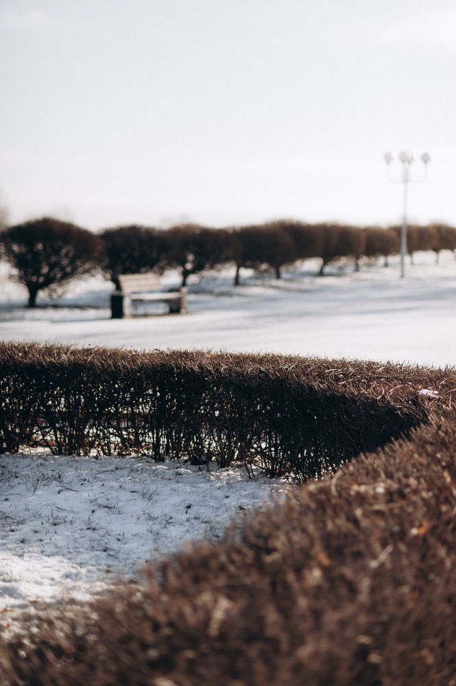Photograph by Елизавета Суворова