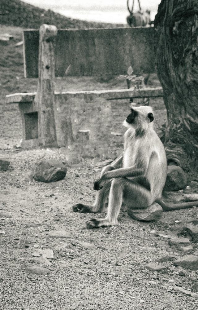 Photograph by Sagar Suraj Meshram