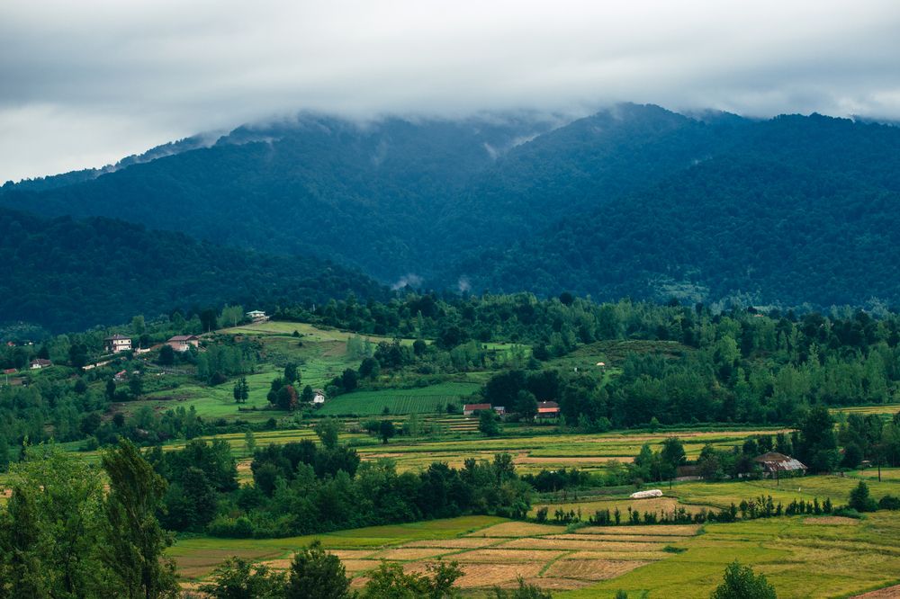 Photograph by Amir Negaresh