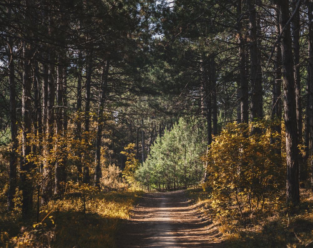 Photograph by Оксана Пономаренко