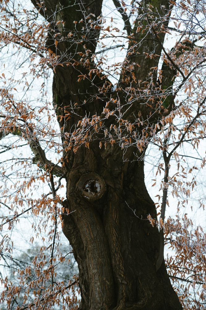 Photograph by Angela