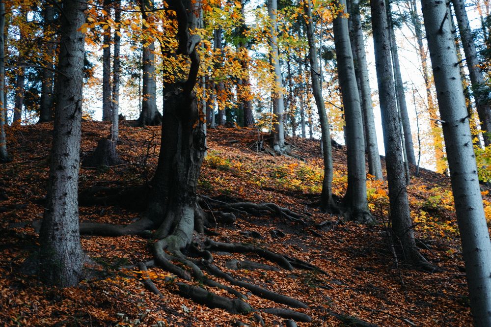 Photograph by Angela