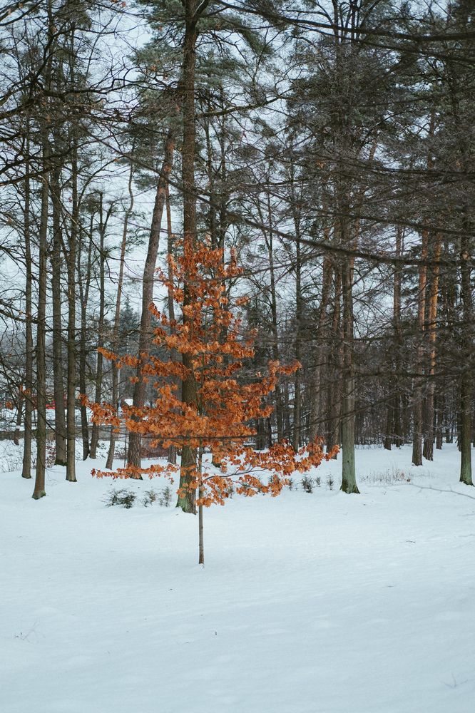 Photograph by Angela