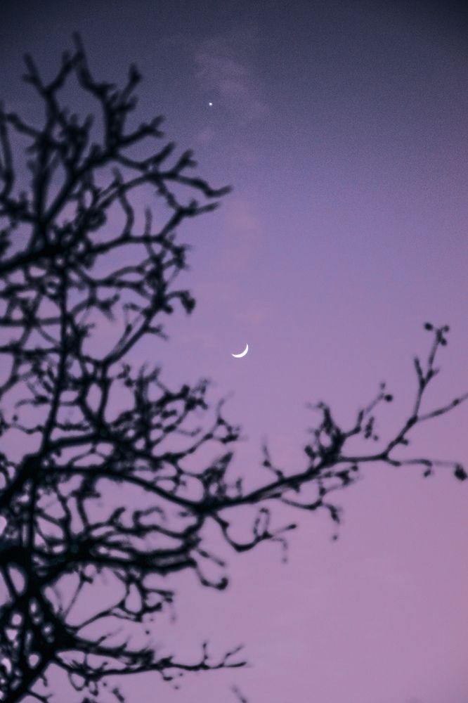 Фотография автора X Fedeeng