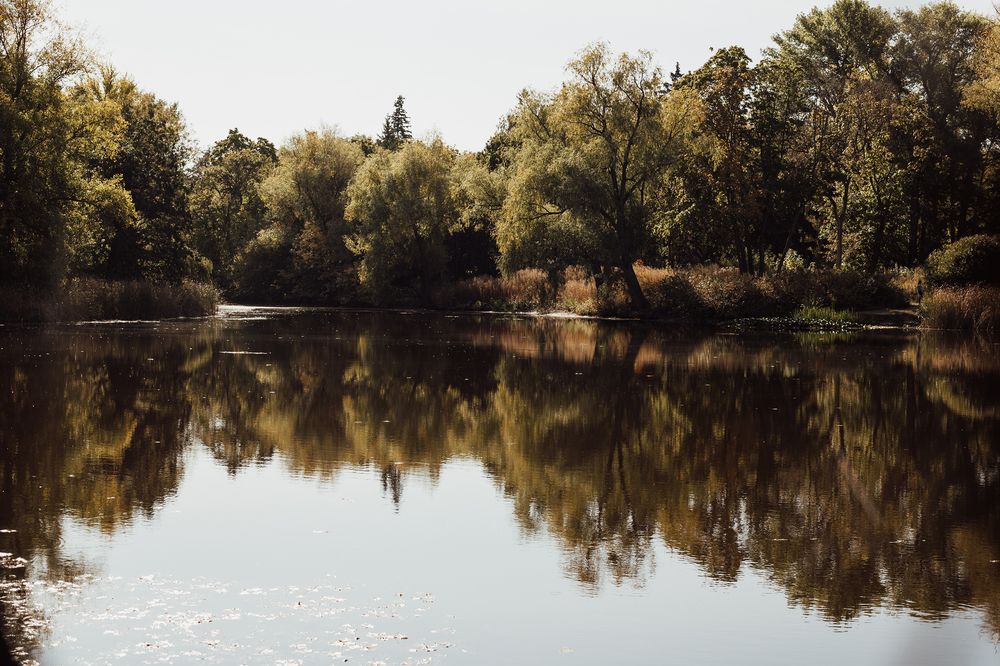 Фотография автора Дарина Фельдман