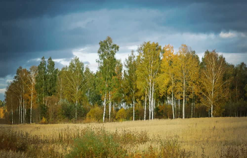 Фотография автора Lija Mežecka