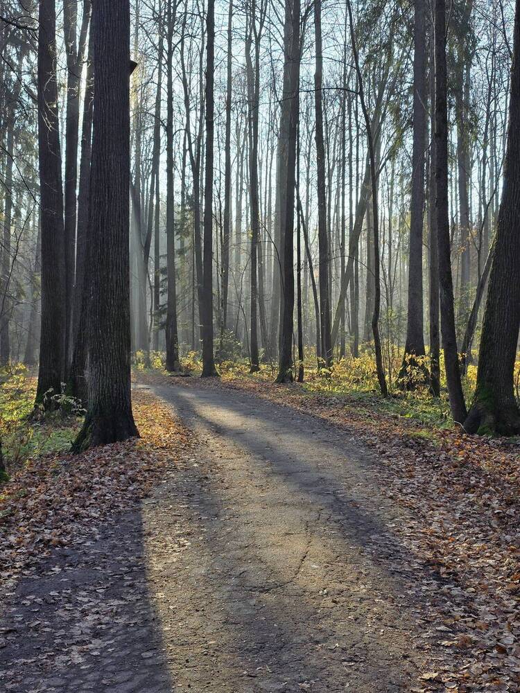 Photograph by Надежда Норкина