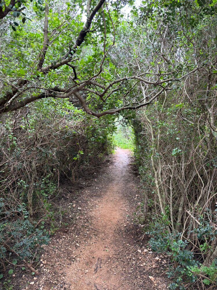 Photograph by Marina Eremin