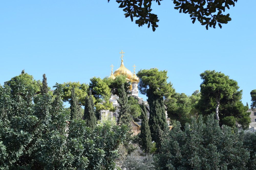 Photograph by Marina Eremin