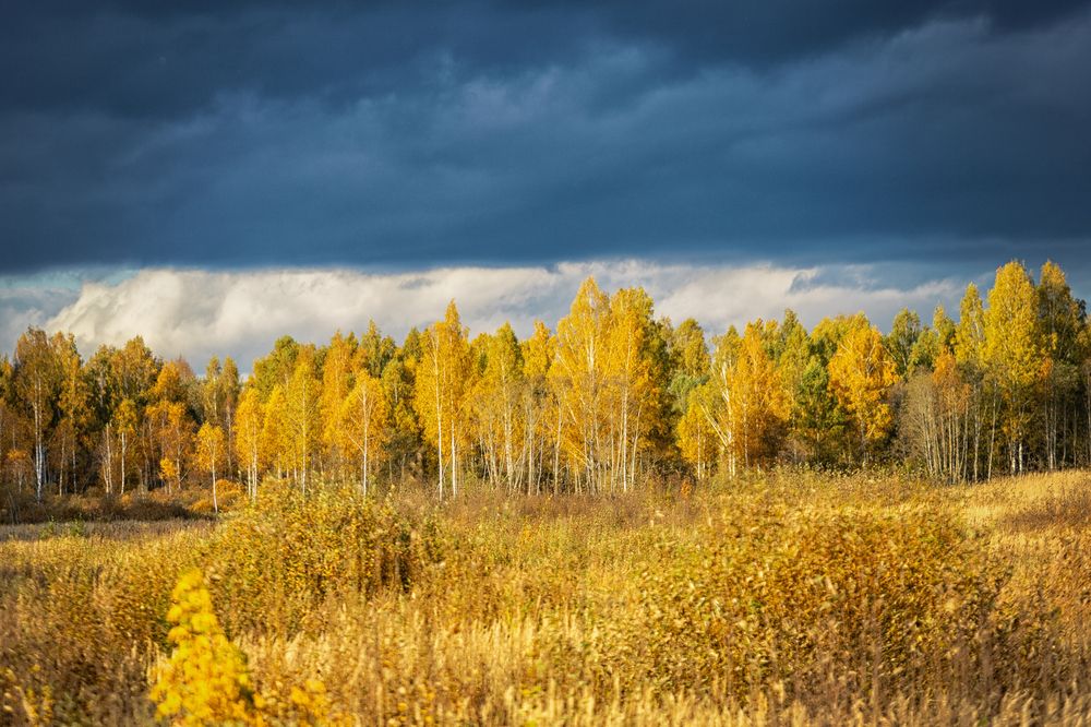 Фотография автора Lija Mežecka