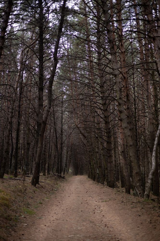 Photograph by Алёна Маринина