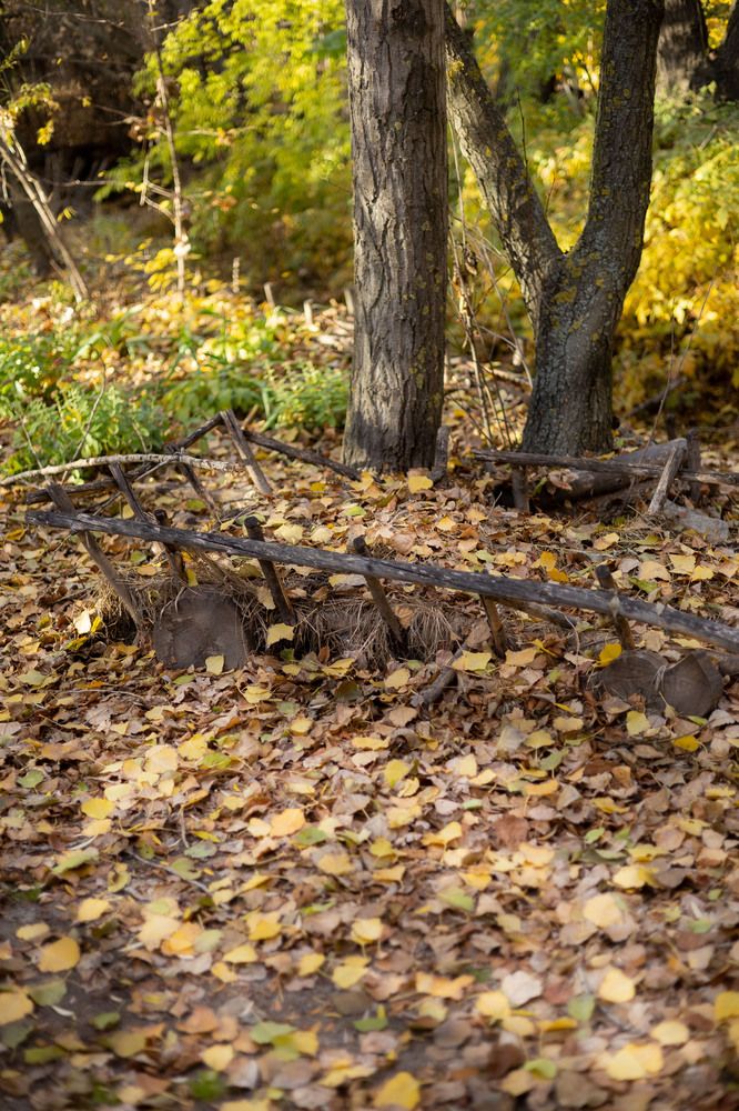 Photograph by Алёна Маринина