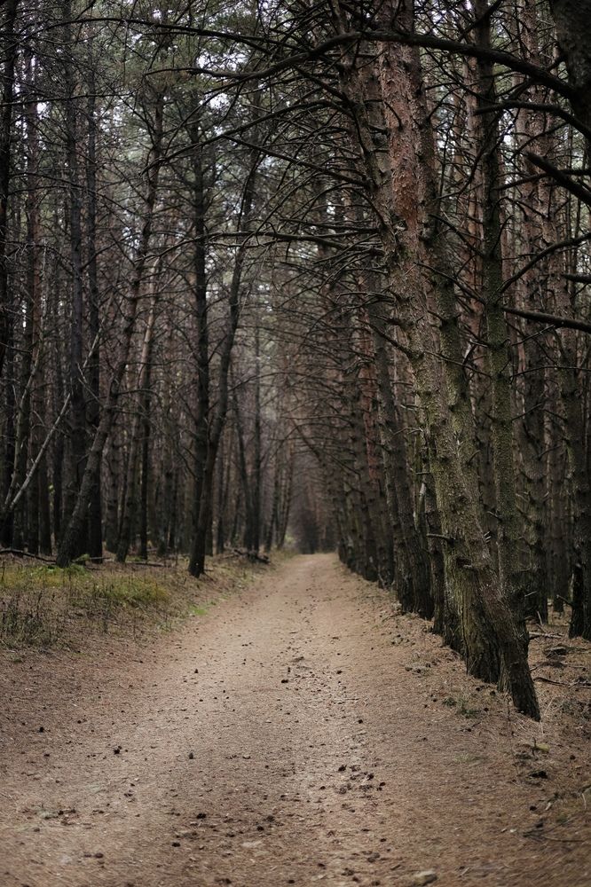 Photograph by Алёна Маринина