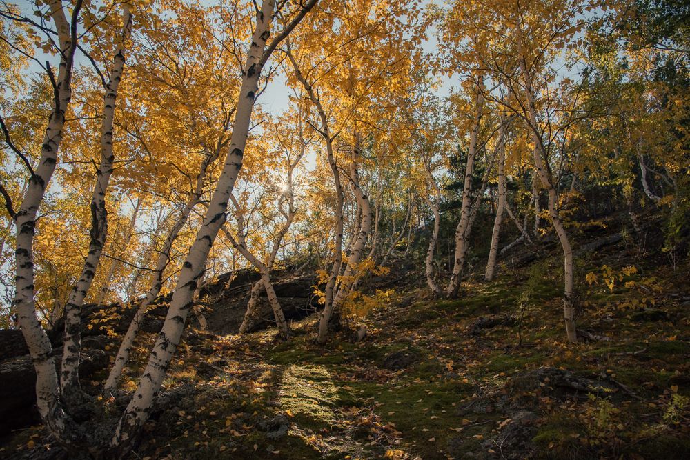 Photograph by Ирина Яук