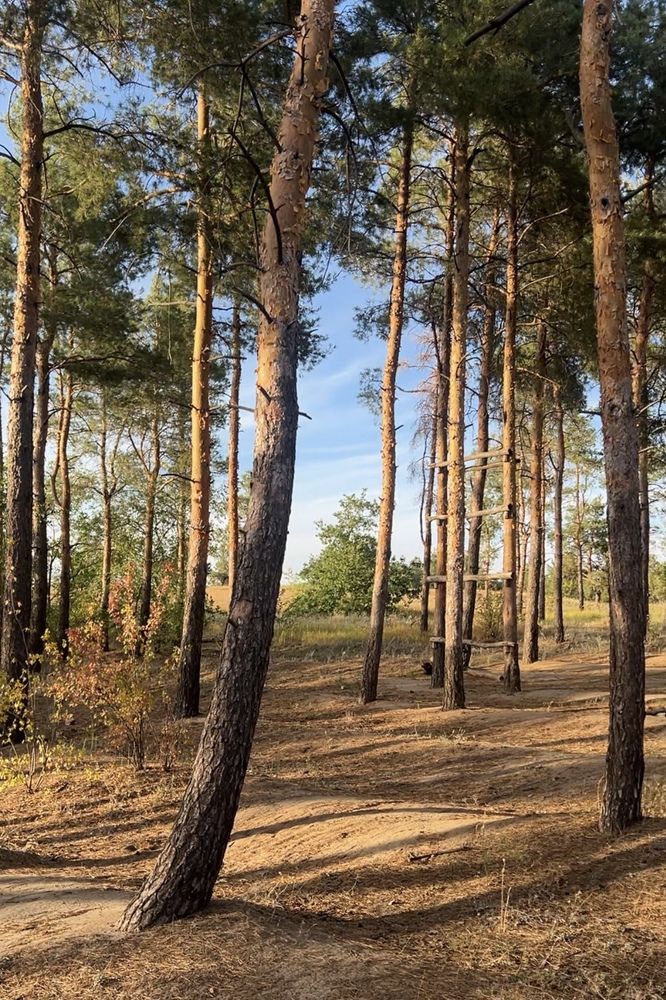 Photograph by Алёна Маринина