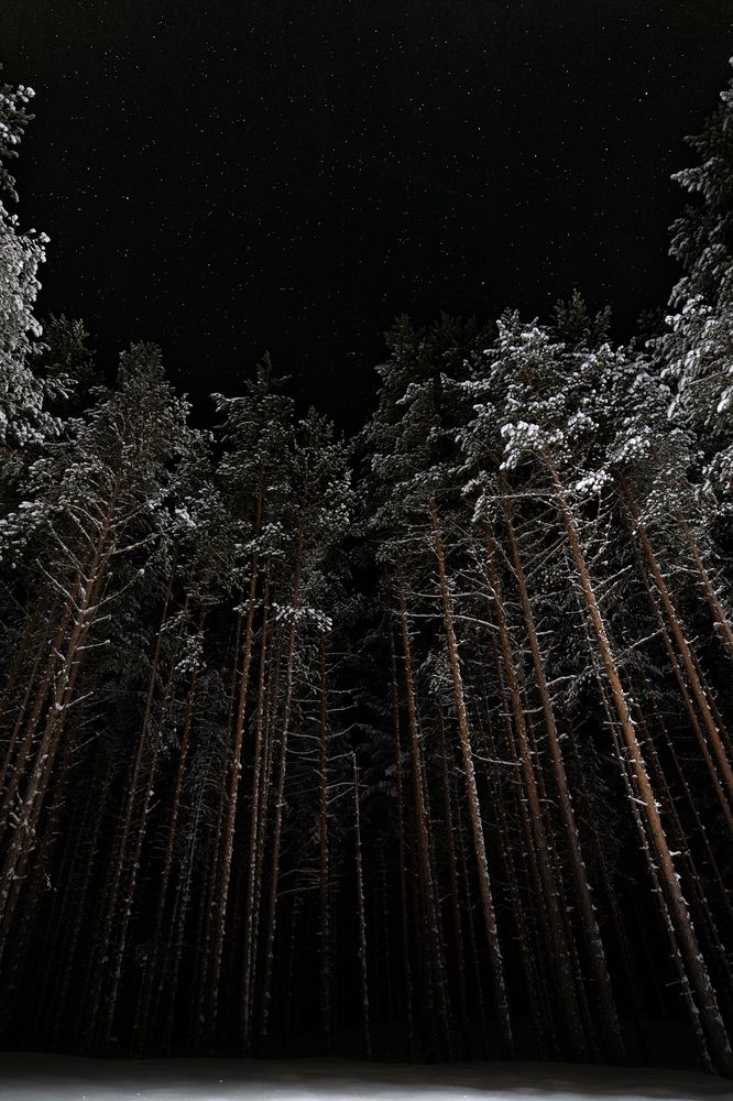 Photograph by Игорь Семеновский