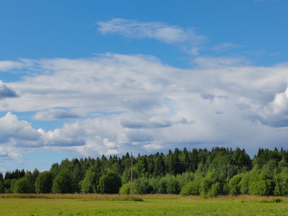 Photograph by Ирина Дружинина