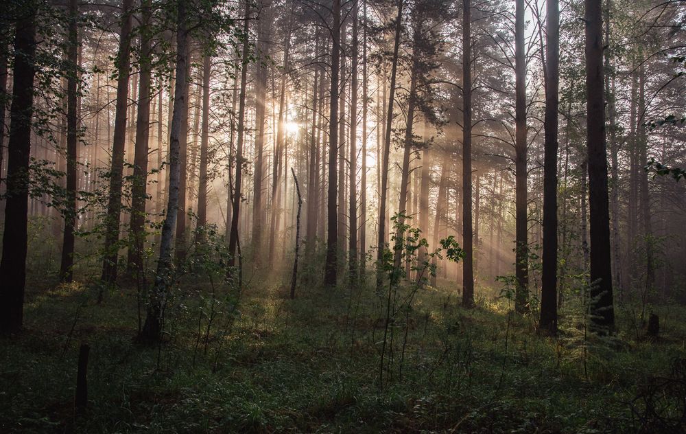 Photograph by Ирина Яук