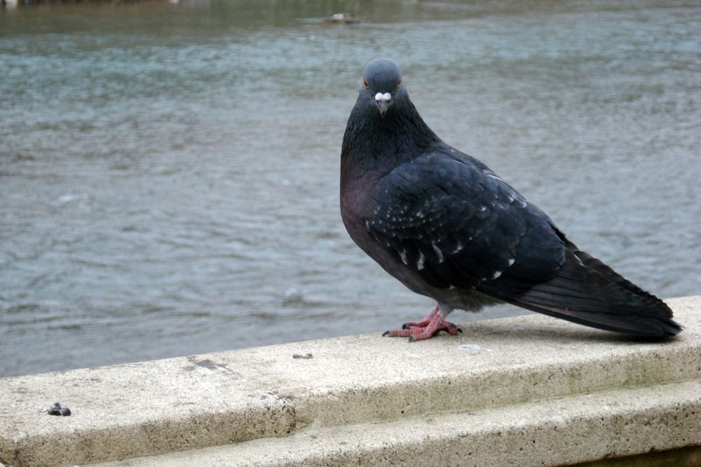 Photograph by Ольга Березовская