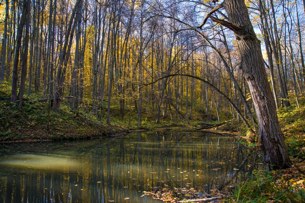 Photograph by Андрей Чуйков