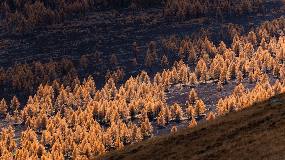 Photograph by Загруев Михаил