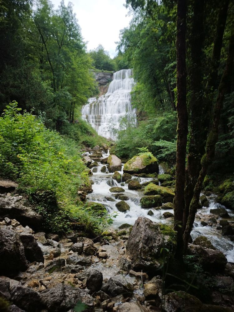 Фотография автора Clarise Joy Evangelista