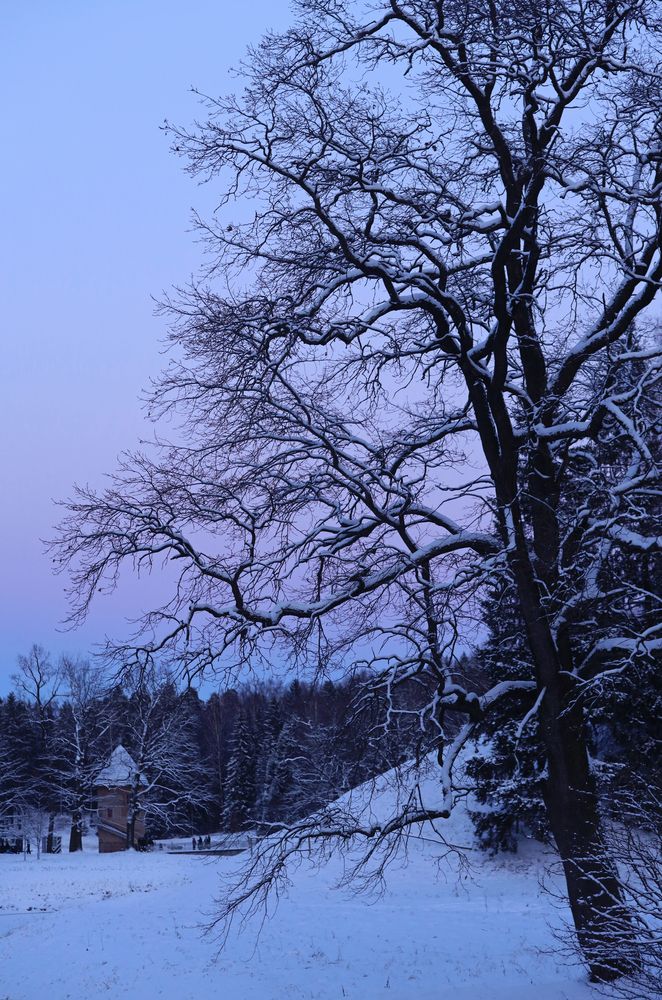 Фотография автора Ирина Муравьева